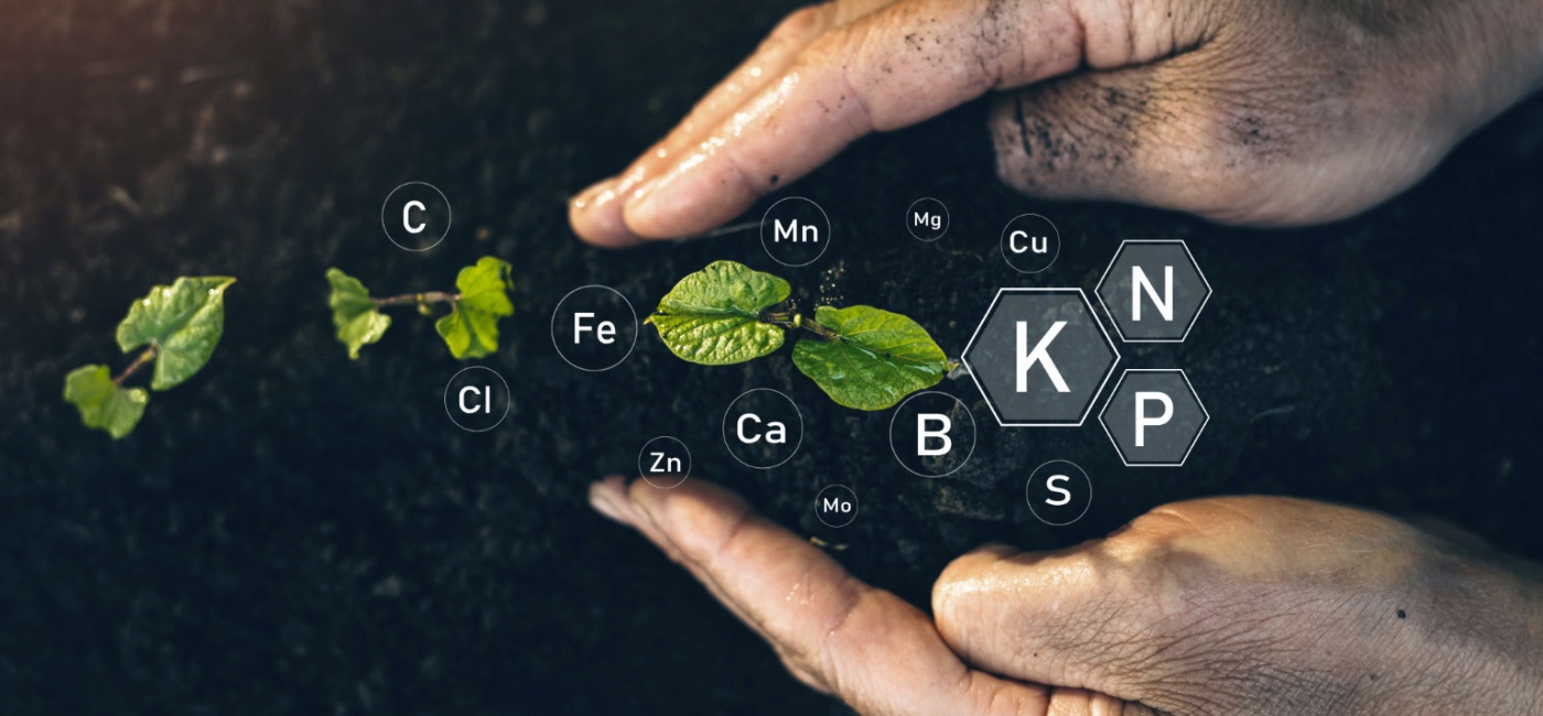 Soil and Plant Analysis