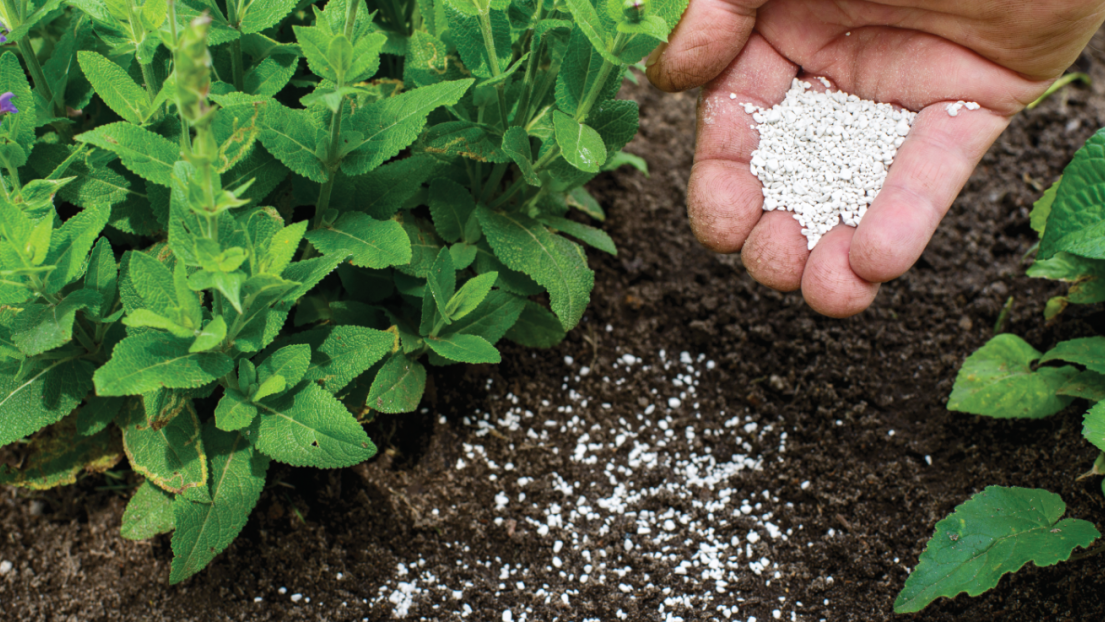 Soil Analysis Webinar Series: Phosphate Extractions & Analysis