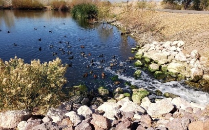 Nature and Industry Co-Exist at City of Henderson Water Reclamation Facility