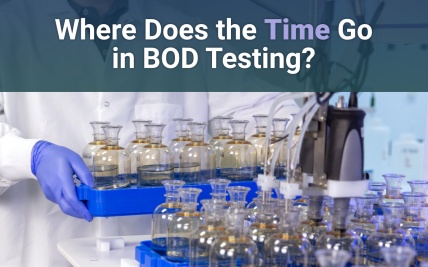 Chemist loading a tray of 12 BOD bottles onto a SEAL Analytical MiniLab ML for BOD Analysis.
