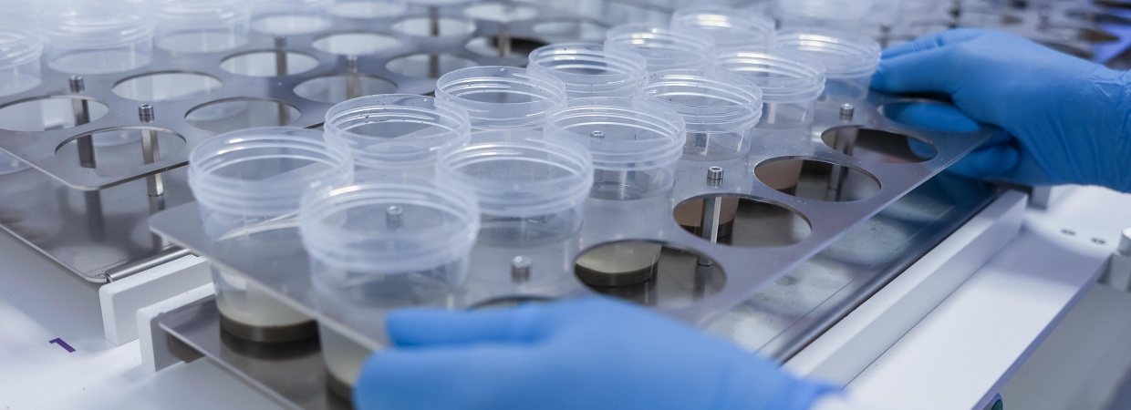 Monsters worden op het MiniLab platform geplaatst