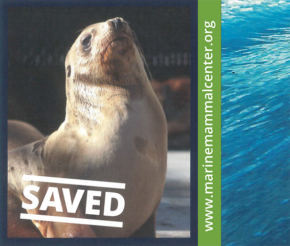 Percevero is our seal of the month
